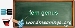 WordMeaning blackboard for fern genus